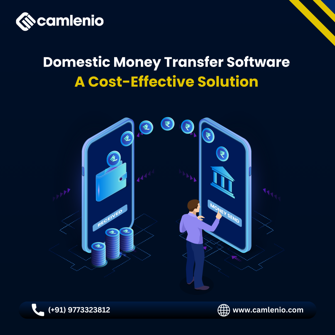 Domestic Money Transfer software