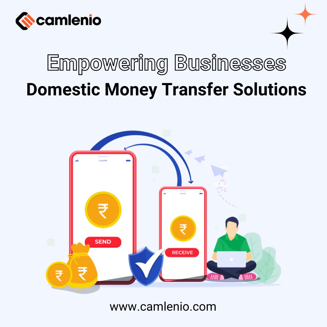 Domestic Money Transfer Solutions