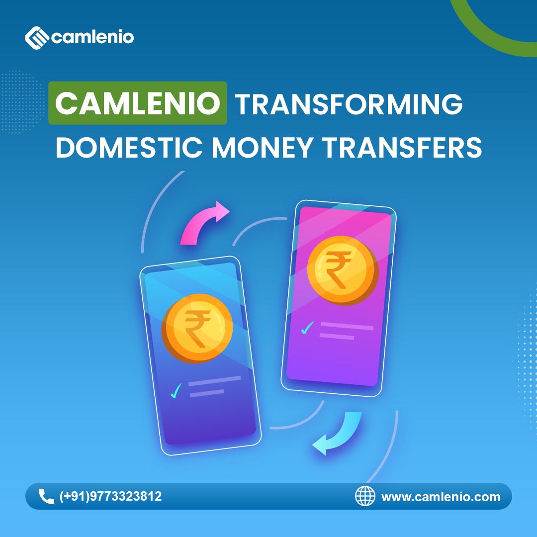 Domestic Money Transfer Software company