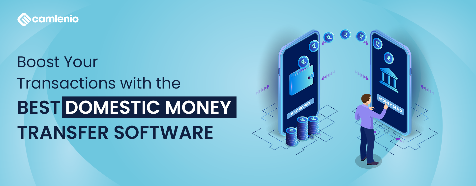 What is Domestic Money Transfer Software?